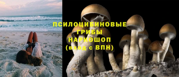 ПСИЛОЦИБИНОВЫЕ ГРИБЫ Магас